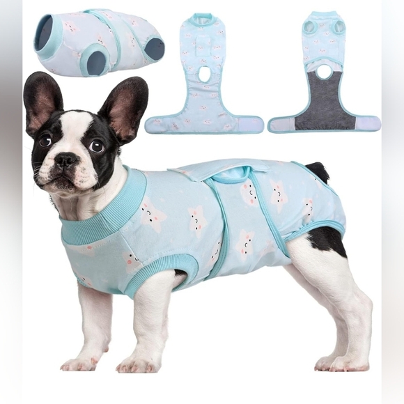 Dog Onesie xs After Surgery Recovery Suit - Picture 1 of 10